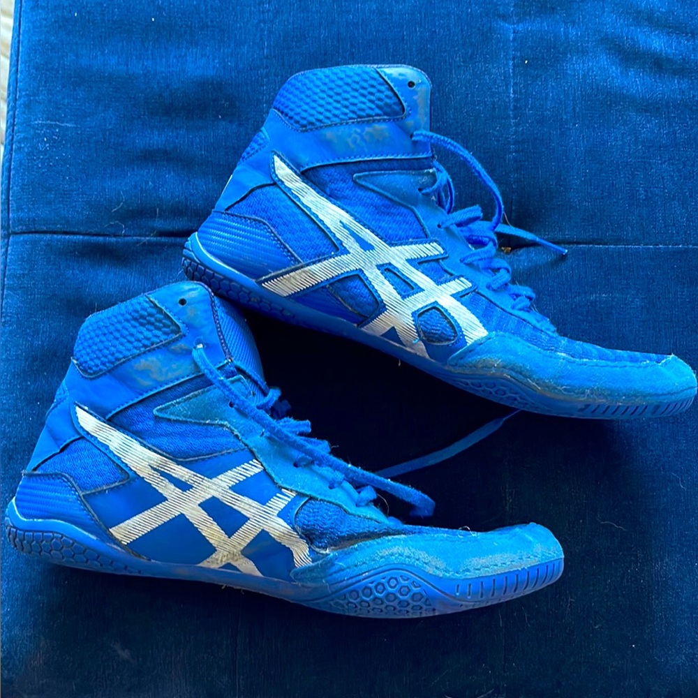 ASICS Mens Wrestling Shoe